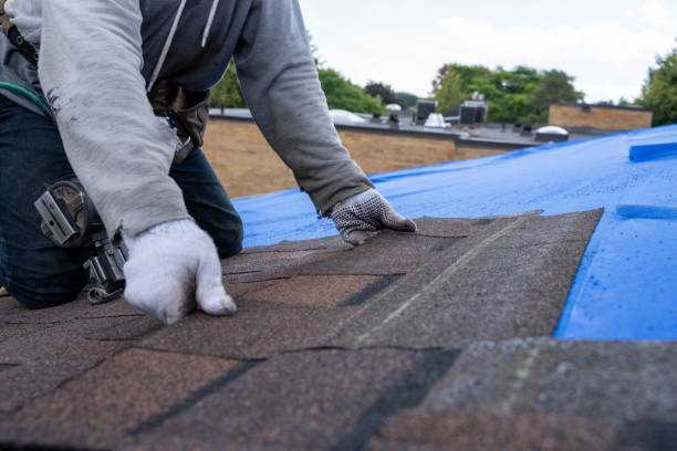 Best Emergency Roof Repair Services  in York, NE